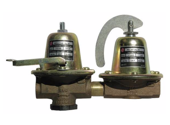 Bell & Gossett 110198LF