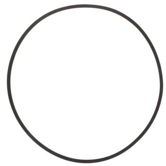 Bell & Gossett P5001083