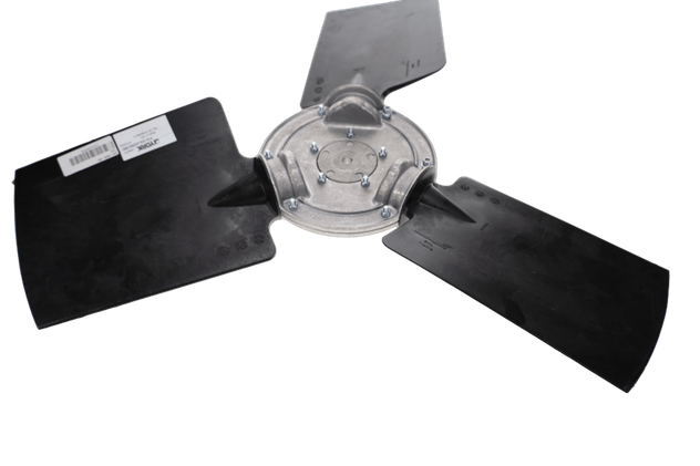 CS3645598 6