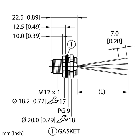 CS5503203 1