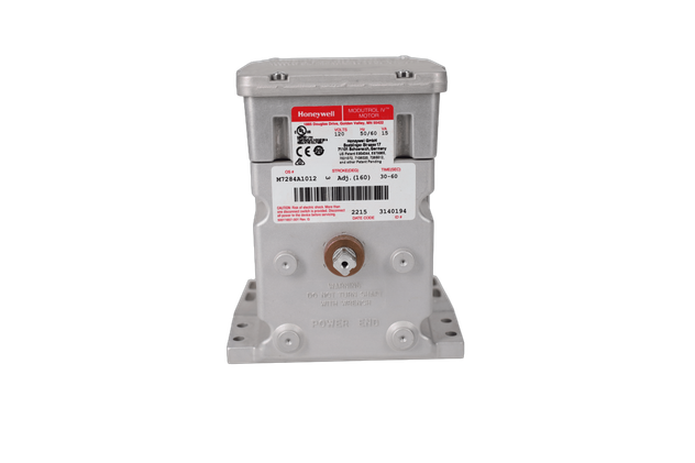 CS275295
