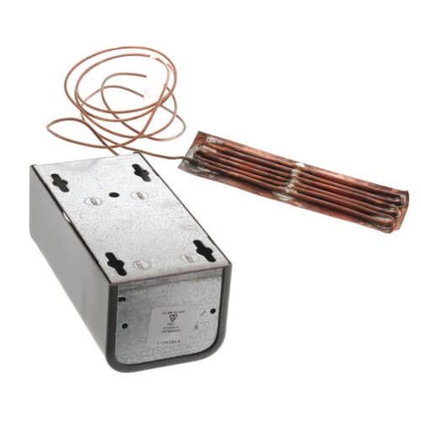 Johnson Controls A19CAC-1C