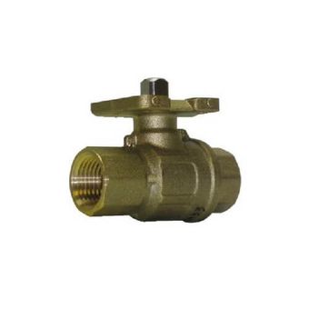 Johnson Controls VG1241AE, VG1241BL, VG1241CN, VG1241DP, VG1241ER, VG1241FS
