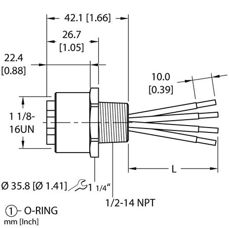 Turck RKFC 42-0.2M/14.5/NPT, RKFC 42-0.5M/14.5/NPT
