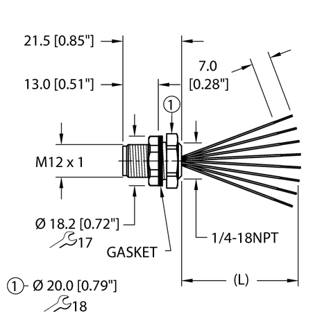 CS4209045