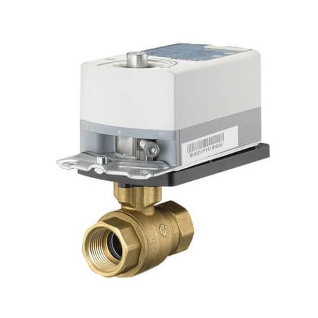 Siemens Building Technologies 171A-10300, 171A-10301