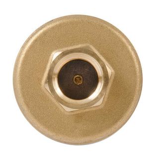 Bell & Gossett 113246