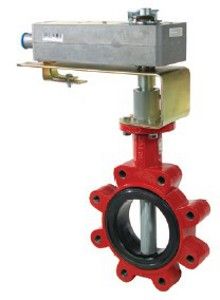 Schneider Electric VAF-6210-556-L-11, VAF-6210-556-L-12, VAF-6220-556-L-11, VAF-6220-556-L-12, VAFS-6210-556-L-11, VAFS-6210-556-L-12, VAFS-6220-556-L-11, VAFS-6220-556-L-12, VFF-6210-556-L-11, VFF-6210-556-L-12, VFF-6220-556-L-11, VFF-6220-556-L-12, VFFS-6210-556-L-11, VFFS-6210-556-L-12, VFFS-6220-556-L-11