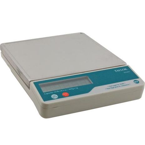 Taylor Thermometer TE22