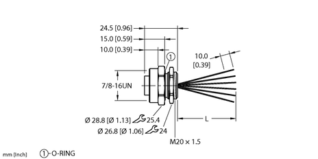 CS3817928 1