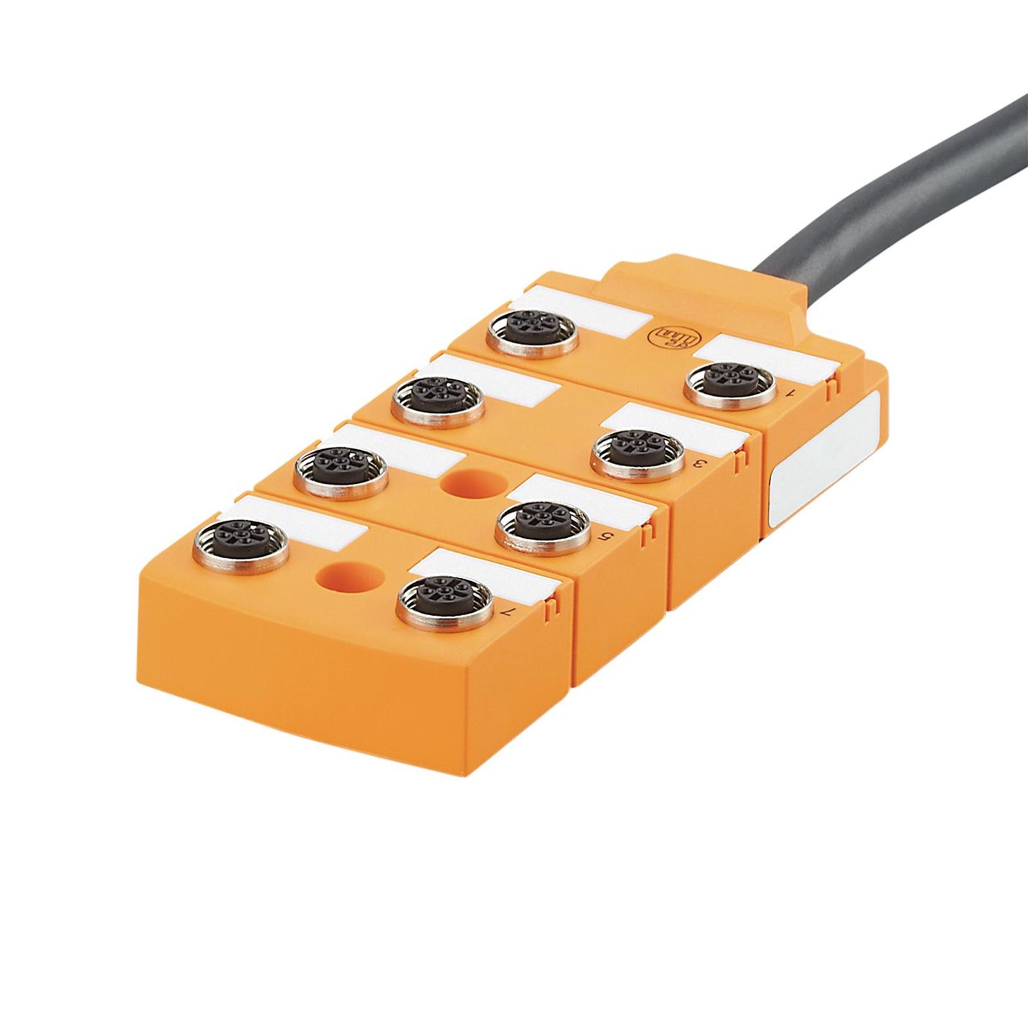 ifm Efector EBC021, EBC022, EBC033, EBC034, EBT004