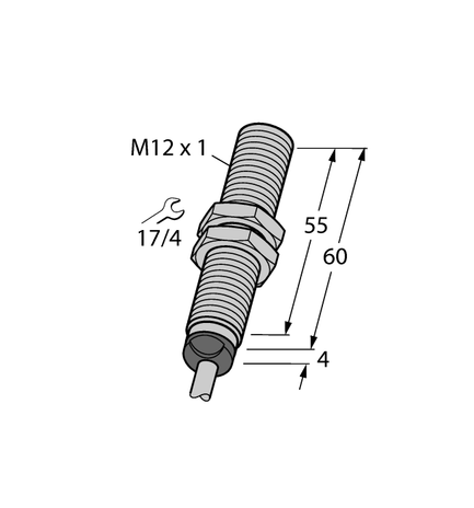 CS4209296