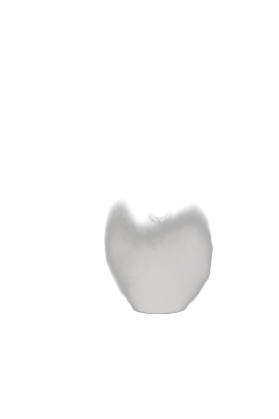 CS426866 12