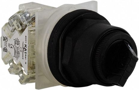 Square D 9001SKS11BH13