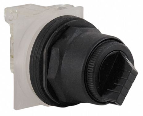 Square D 9001SKS11BH1