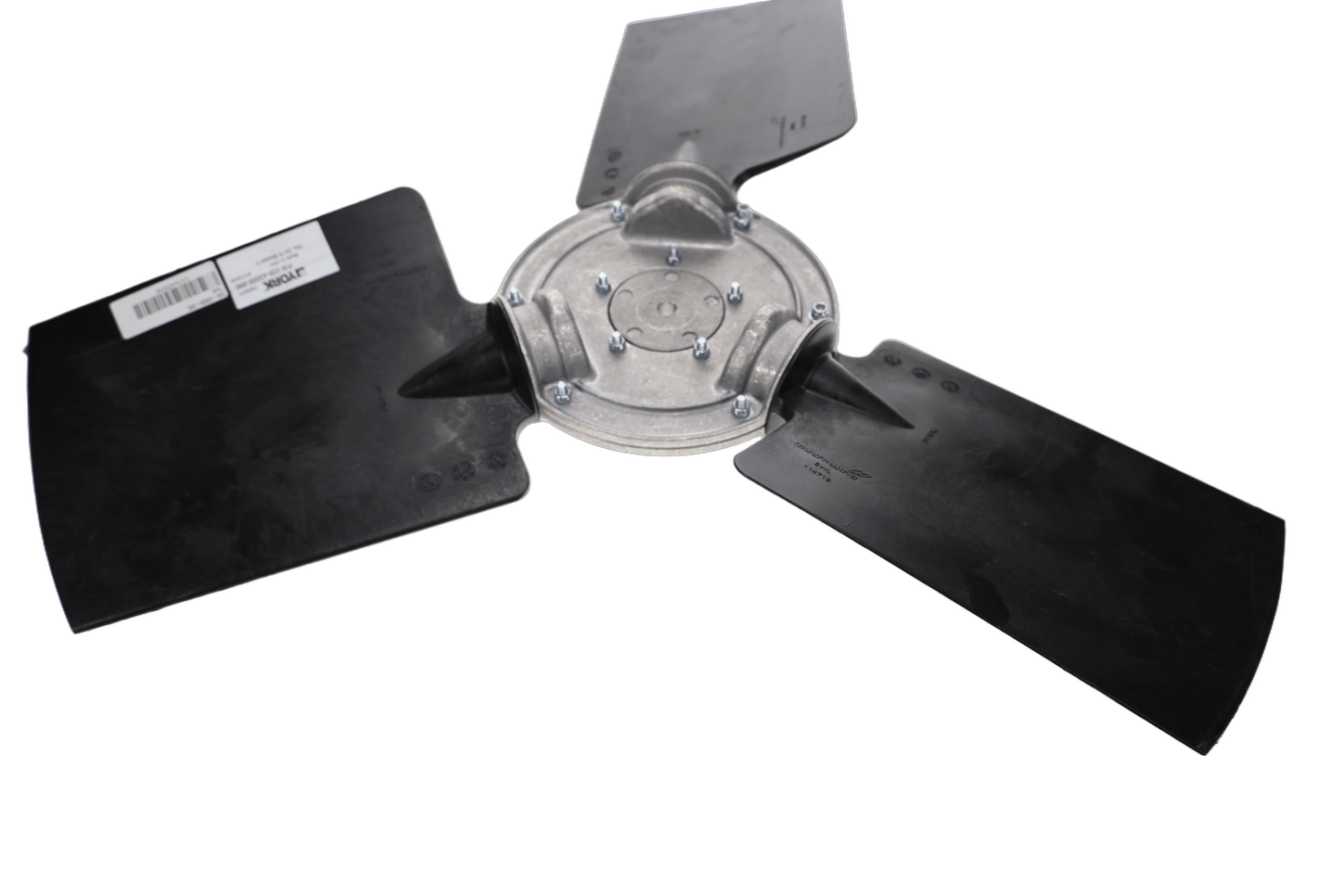 CS3645598 6