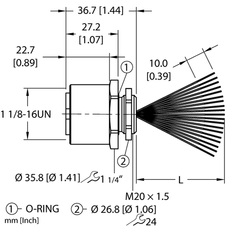 CS3817547 1