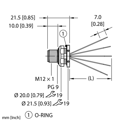 CS3805478 1
