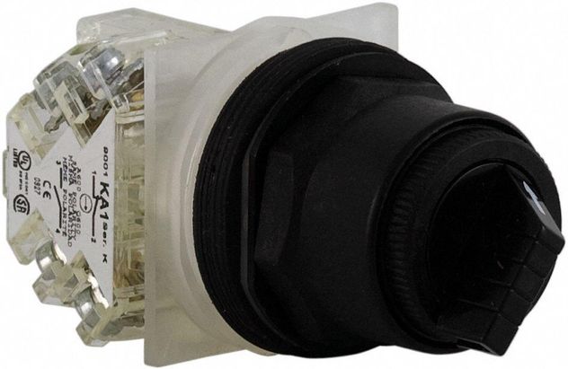 Square D 9001SKS11BH13