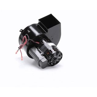 Bloomfield 2U-302584