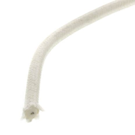 Honeywell Flame Safeguard R1061012