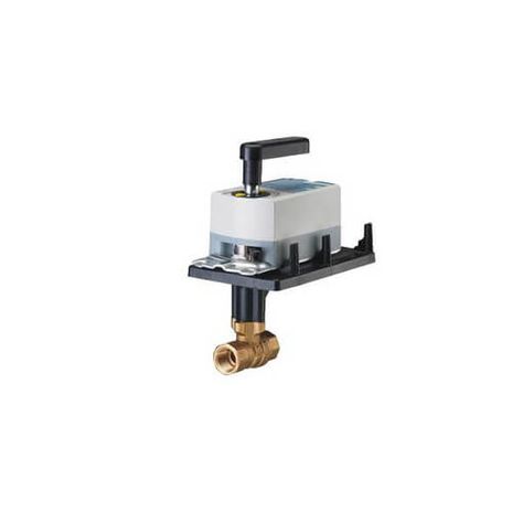 Siemens Building Technologies 171A-10304, 171K-10304