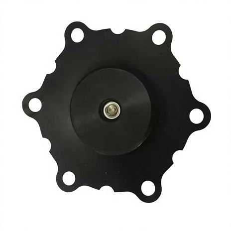 CS1024894