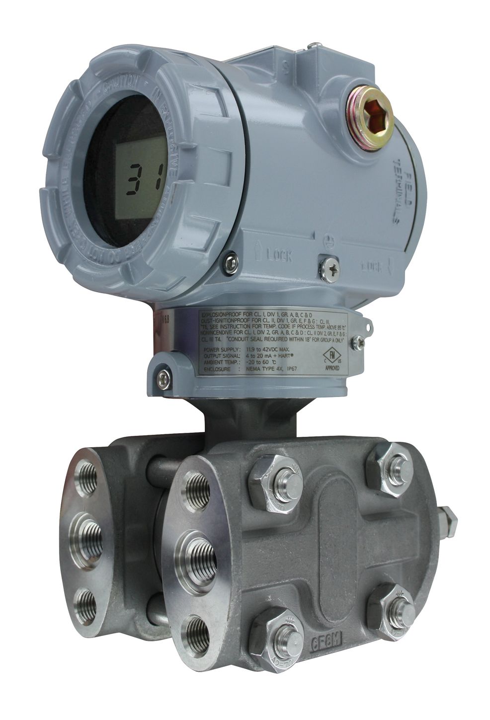 Dwyer 3100D-1-FM-1-1-LCD, 3100MRS