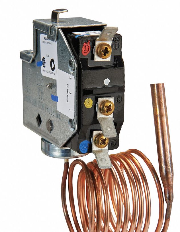 Johnson Controls P20BB.1C, P20DB-1C, P20EB.2C